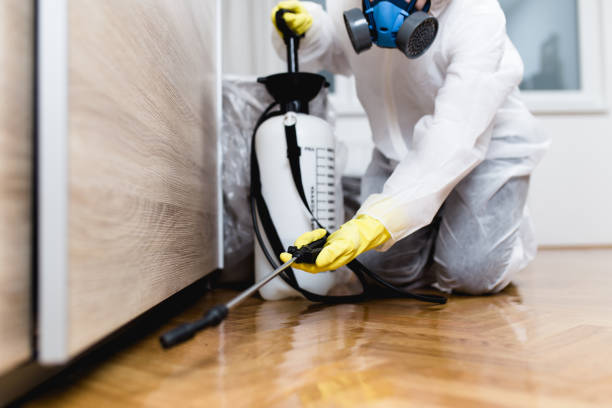 Reliable Athens, TN Pest Control Solutions