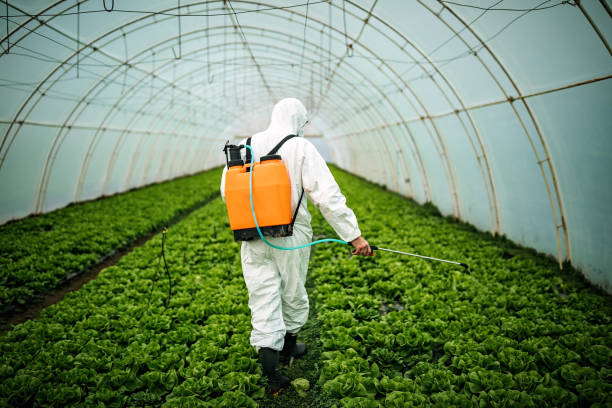 Best Pest Inspection Near Me  in Athens, TN