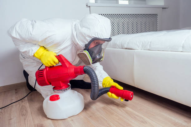 Best Termite Control Services  in Athens, TN
