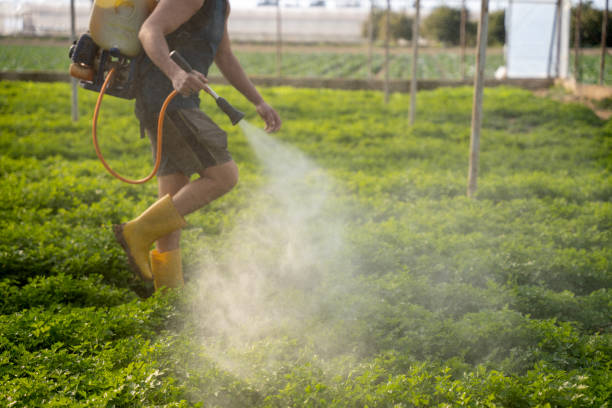 Best Pest Prevention Services  in Athens, TN