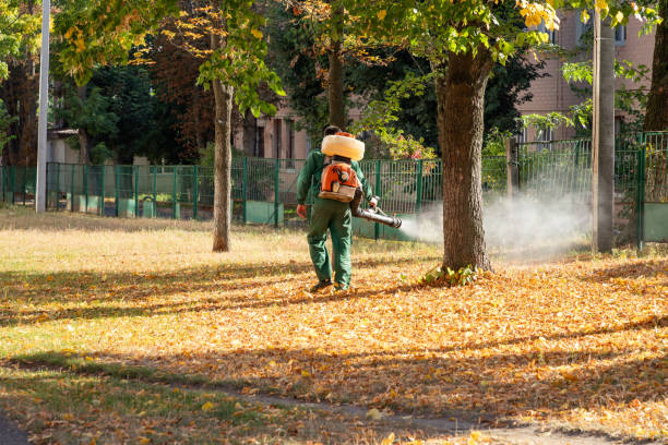 Insect Control in Athens, TN