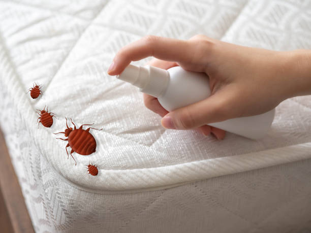 Best Emergency Pest Control  in Athens, TN