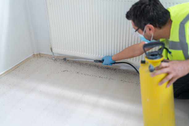 Best Best Pest Control Companies  in Athens, TN